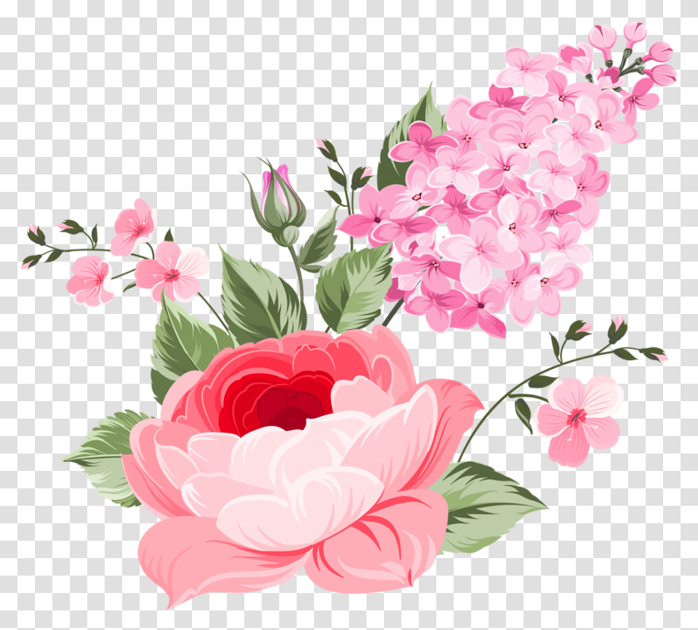 Beautiful Roses, Plant, Flower, Blossom, Petal Transparent Png