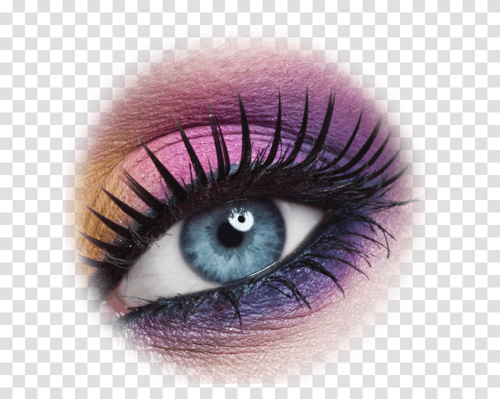 Beautiful Shayri On Eyes Exploso De Cores Maquiagem, Cosmetics, Bird, Animal, Mascara Transparent Png