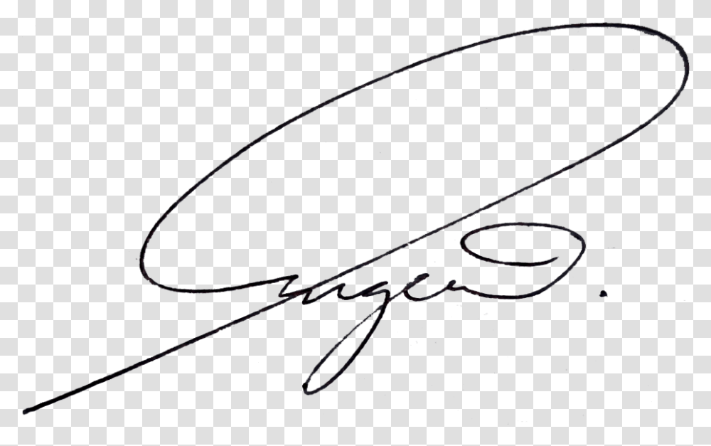 Beautiful Signature, Handwriting, Bow, Autograph Transparent Png