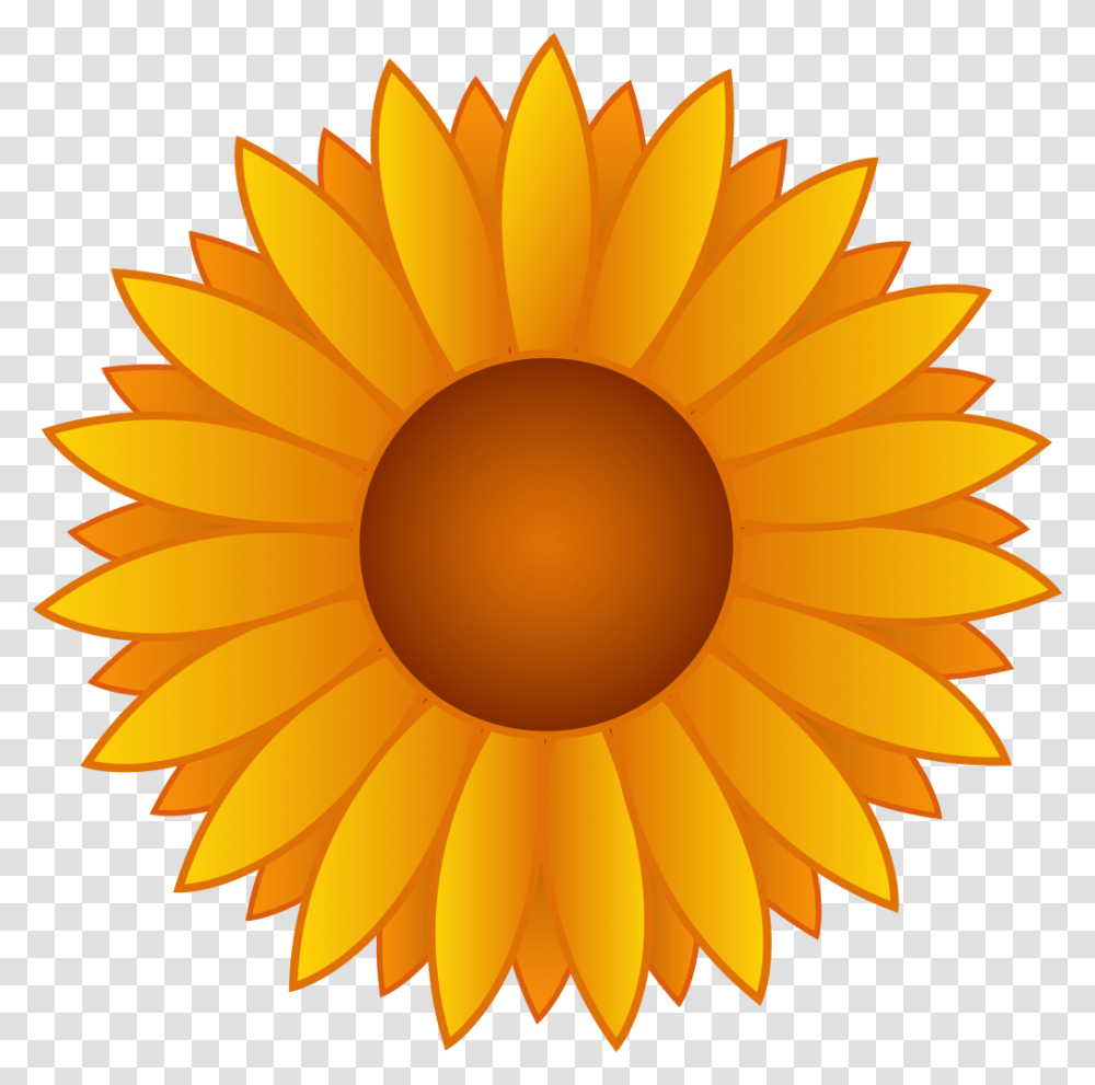 Beautiful Sunflower Clipart, Plant, Blossom, Lamp, Daisy Transparent Png