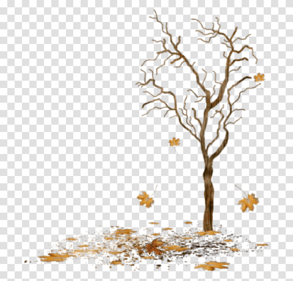 Beautiful Tree Icon And Background Bare Tree With Leaves Falling, Plant, Leaf, Tree Trunk, Maple Transparent Png