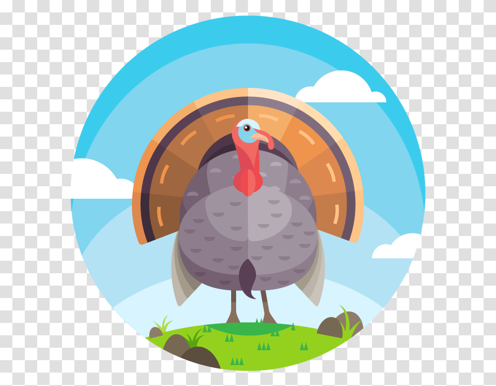 Beautiful Turkey Vector, Animal, Bird, Fowl, Turkey Bird Transparent Png