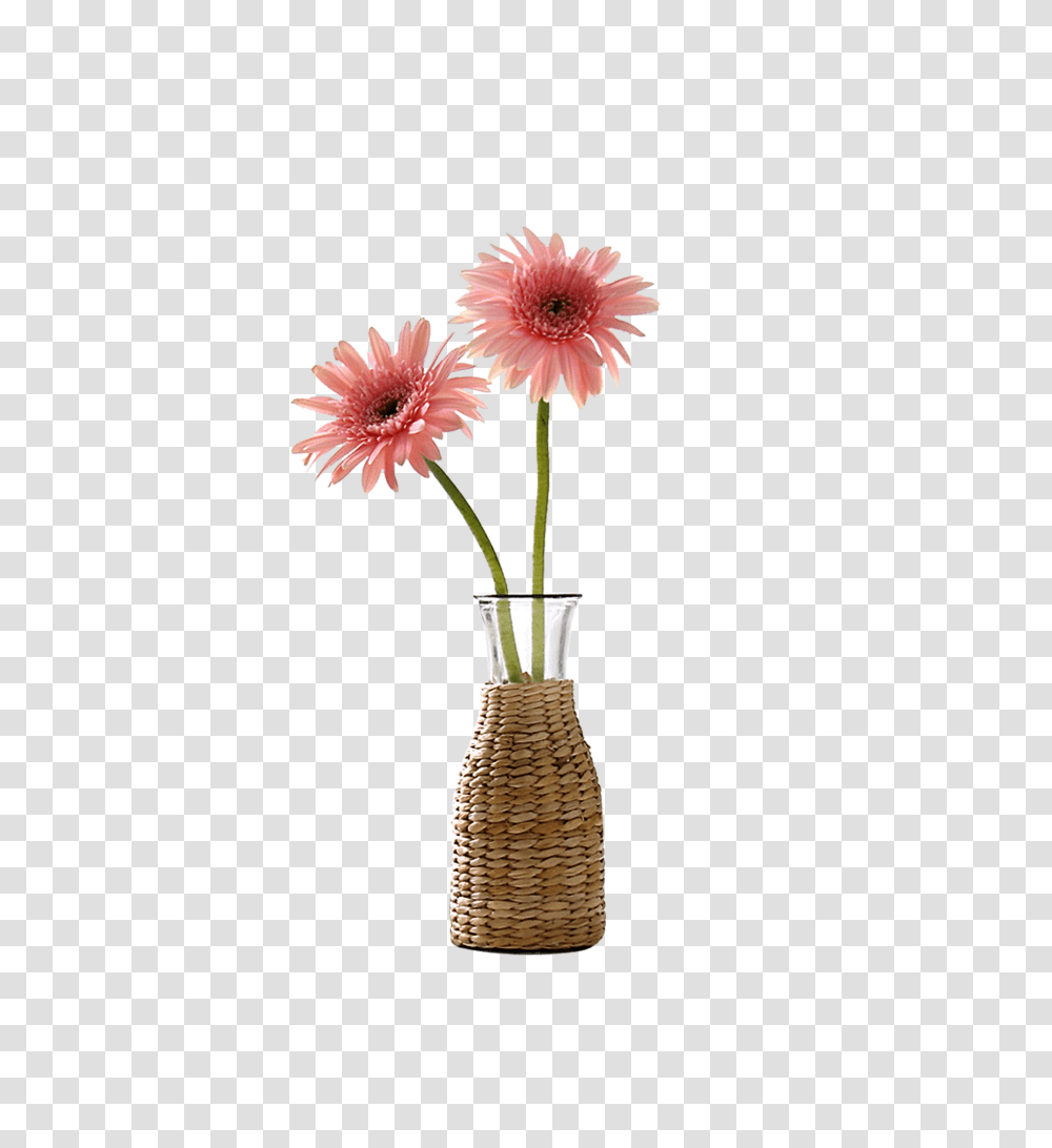 Beautiful Vase Flower Decoration Vector Free Download, Plant, Blossom, Daisy, Daisies Transparent Png