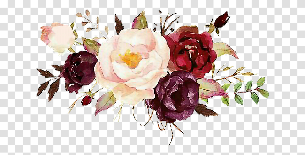 Beautiful Watercolor Lovewatercolors Flowers Flores Burgundy Watercolor Flowers, Plant, Blossom, Peony, Rose Transparent Png