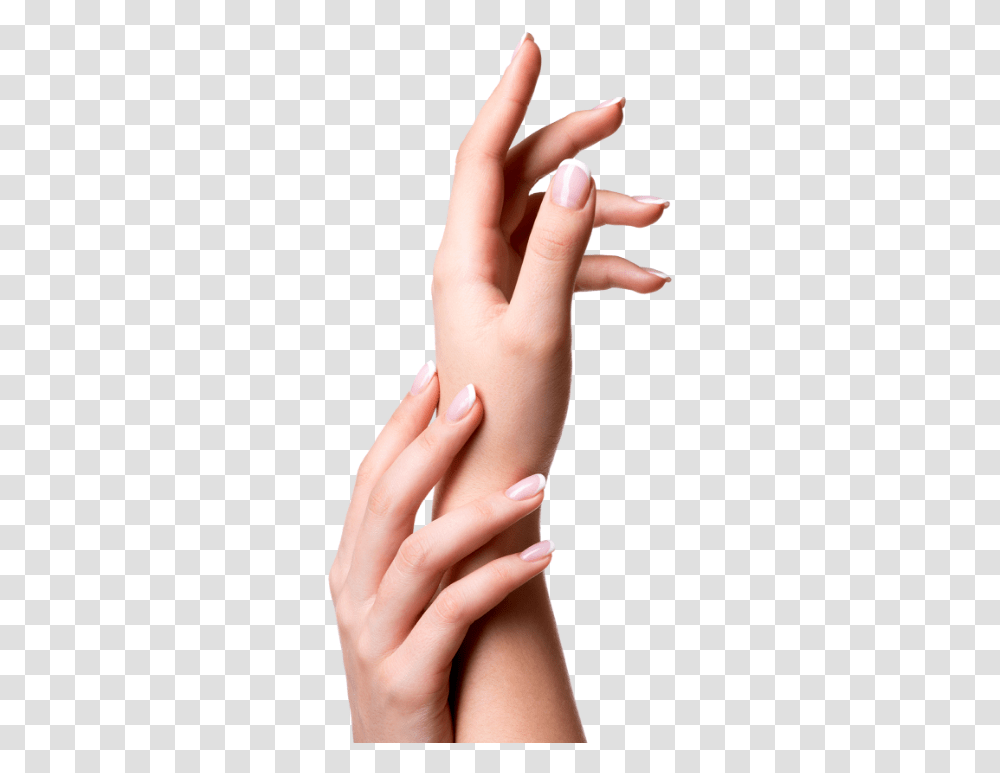 Beautiful Womans Hands With Beautiful Nails Pf6q55u Sign Language, Person, Human, Finger, Manicure Transparent Png