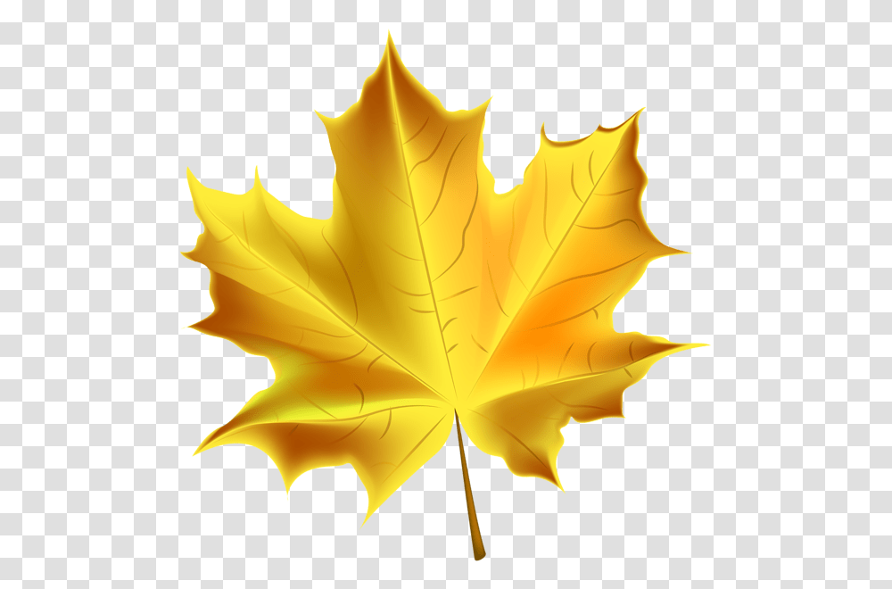 Beautiful Yellow Autumn Leaf Clip Art Image, Plant, Maple Leaf, Tree, Rose Transparent Png