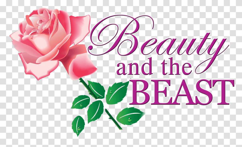 Beauty And The Beast A Timeless Tale Of Enchantment Garden Roses, Petal, Flower, Plant, Blossom Transparent Png