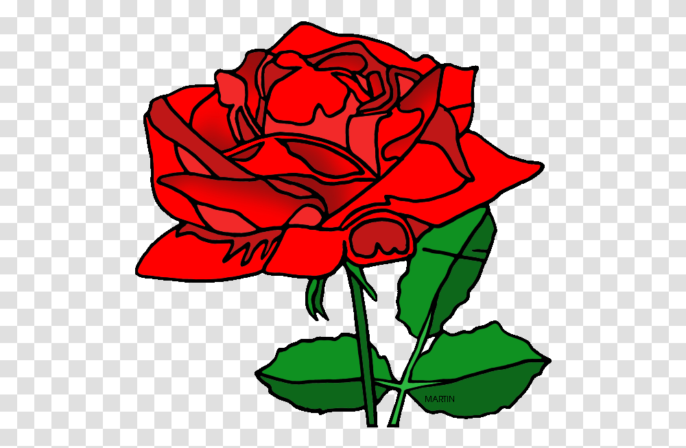 Beauty And The Beast Rose, Flower, Plant, Blossom, Person Transparent Png