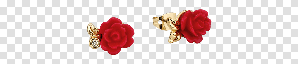 Beauty And The Beast Rose, Flower, Plant, Blossom Transparent Png