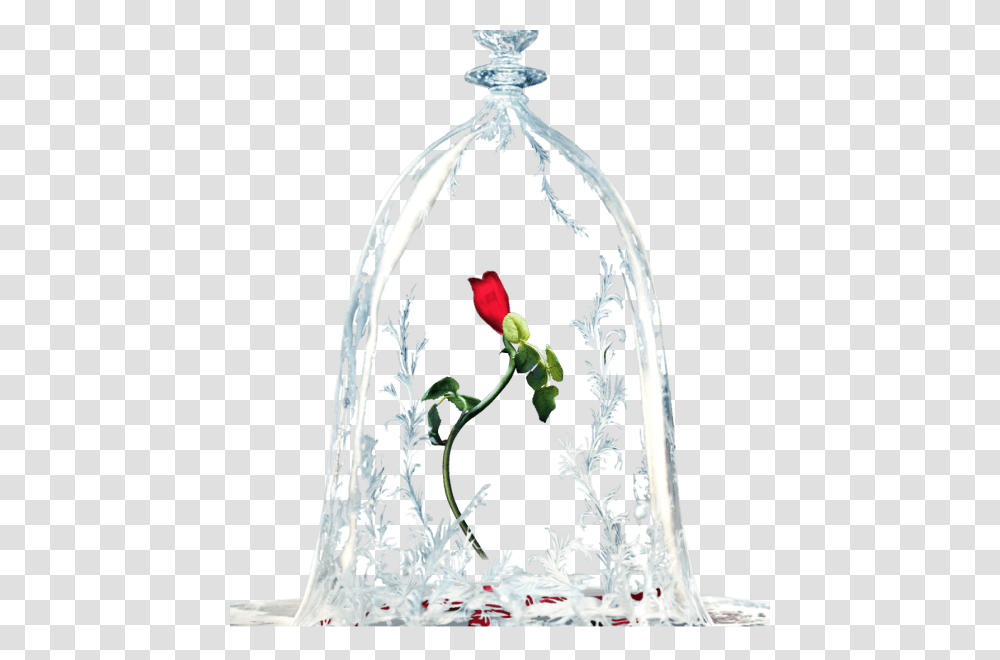 Beauty And The Beast Rose, Plant, Petal, Flower, Jar Transparent Png