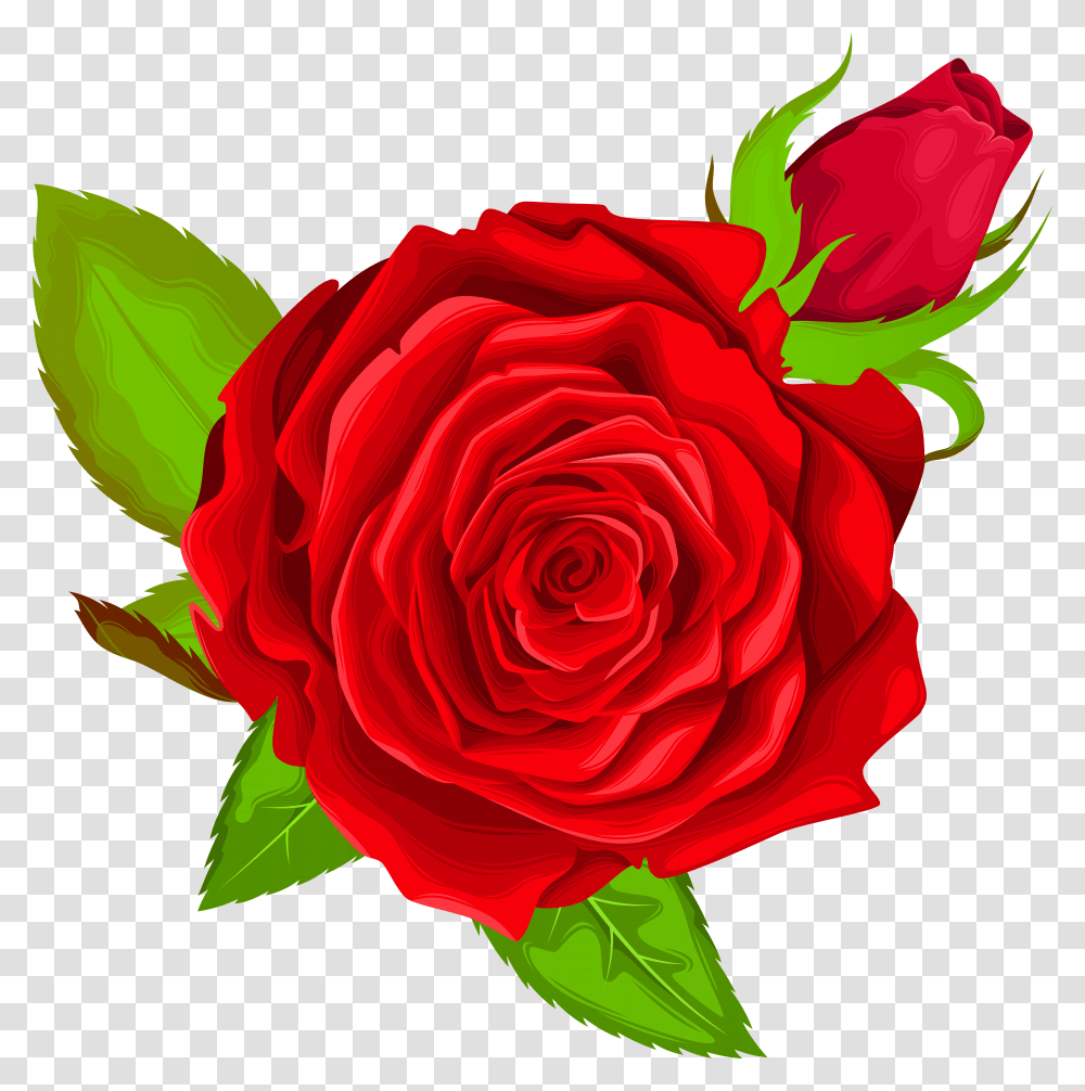 Beauty And The Beast Rose Transparent Png