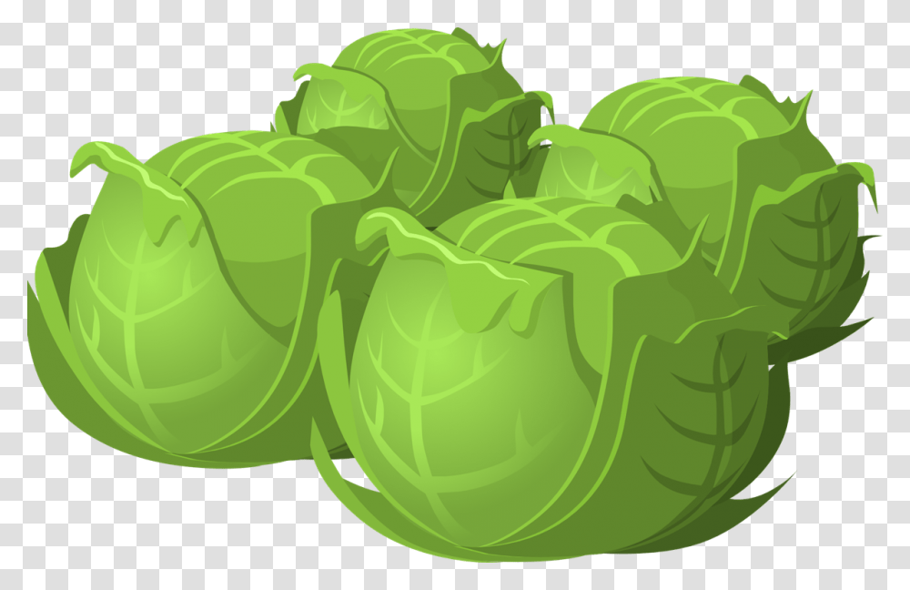 Beauty Benefits Of Cabbage Cartoon, Plant, Head Cabbage, Produce, Vegetable Transparent Png