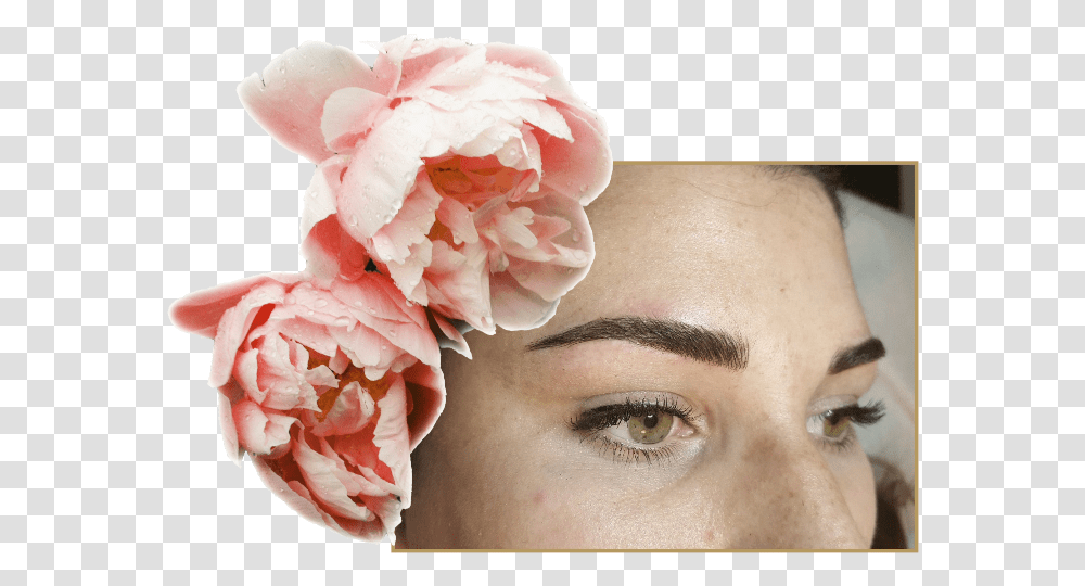 Beauty By B Headpiece, Clothing, Apparel, Plant, Flower Transparent Png