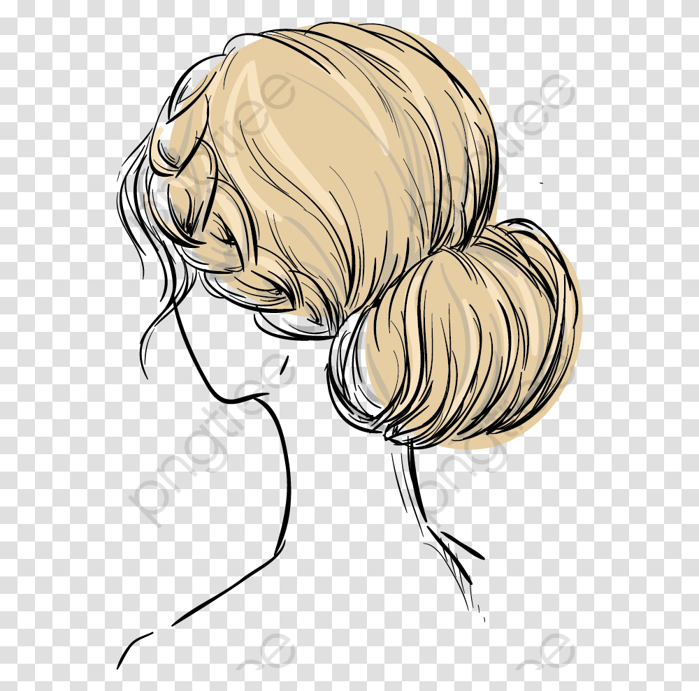 Beauty Clipart Hair Styles Back Drawing, Plant, Vegetable, Food, Sea Life Transparent Png