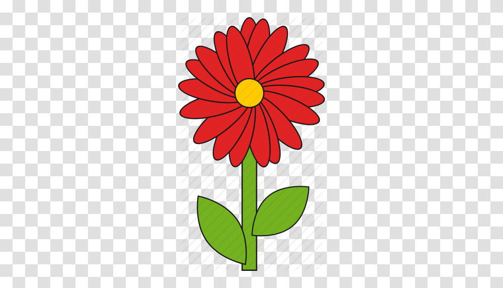 Beauty Flower Nature Red Summer Icon, Plant, Blossom, Daisy, Daisies Transparent Png
