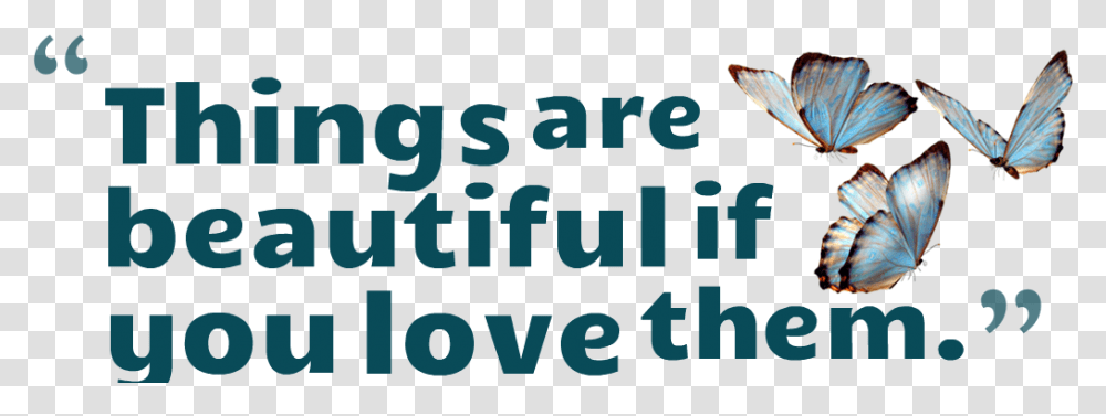Beauty Quotes Background Background Love Quotes, Word, Alphabet, Poster Transparent Png