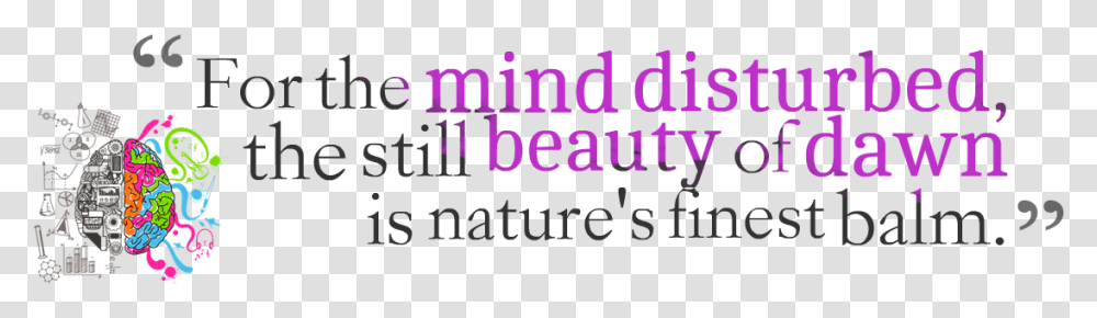 Beauty Quotes Photo Calligraphy, Alphabet, Face, Female Transparent Png