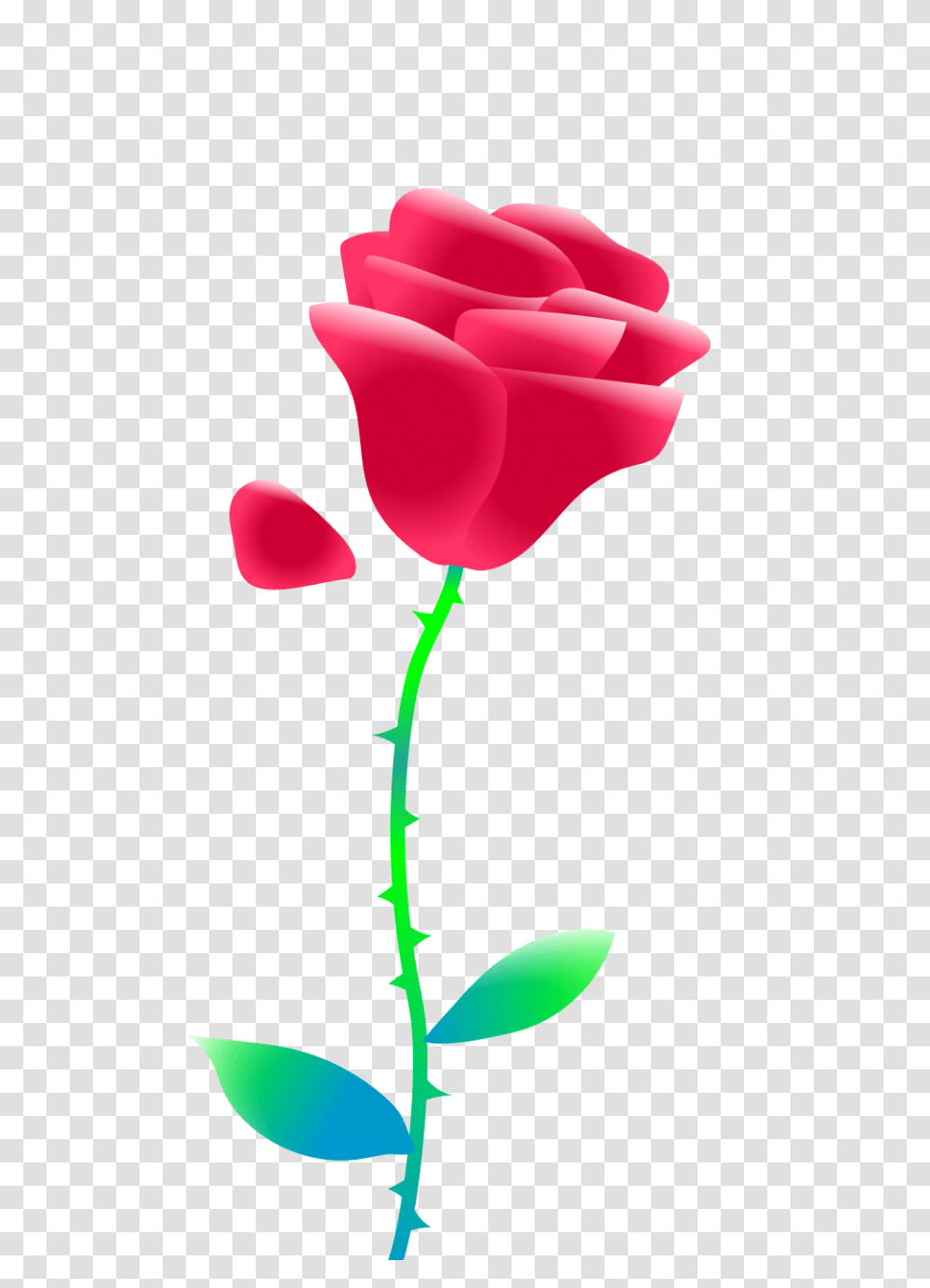 Beauty The Beast, Green, Plant, Flower, Blossom Transparent Png