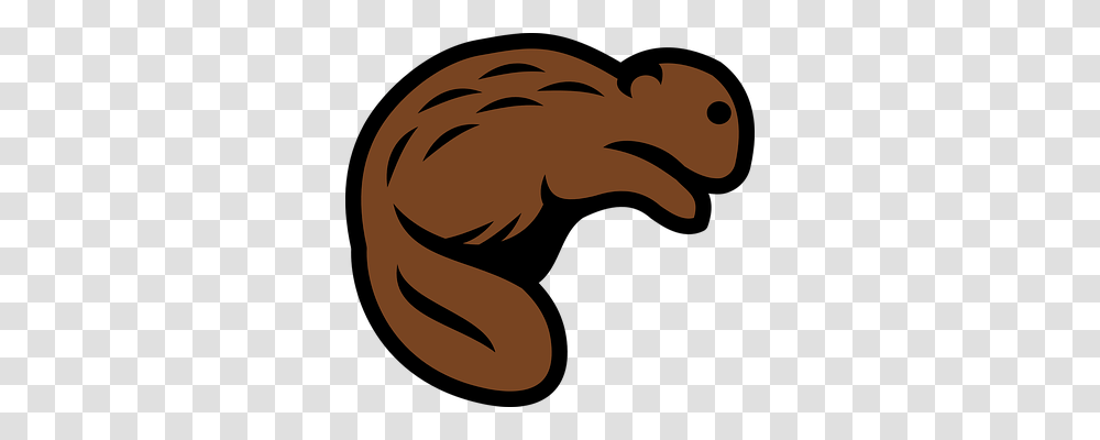 Beaver Animals, Mammal, Wildlife Transparent Png