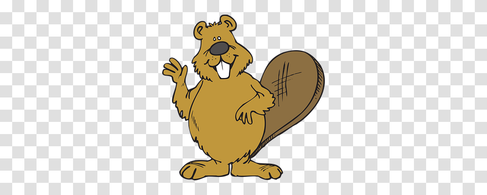 Beaver Animals, Wildlife, Rodent, Mammal Transparent Png