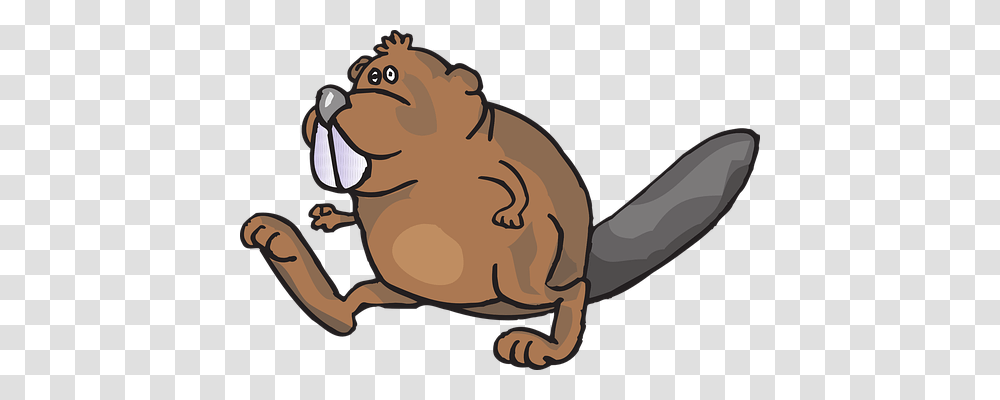 Beaver Animals, Wildlife, Mammal, Rodent Transparent Png