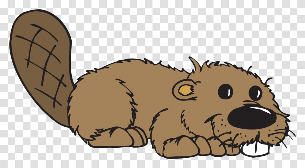 Beaver Animal Tail Free Vector Graphic On Pixabay Beaver Clipart, Mammal, Rodent, Plant, Wildlife Transparent Png