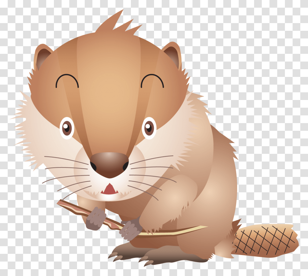 Beaver, Animals, Mammal, Rodent, Wildlife Transparent Png