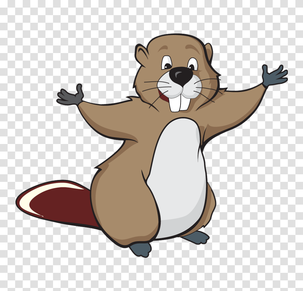 Beaver, Animals, Mammal, Wildlife, Rodent Transparent Png