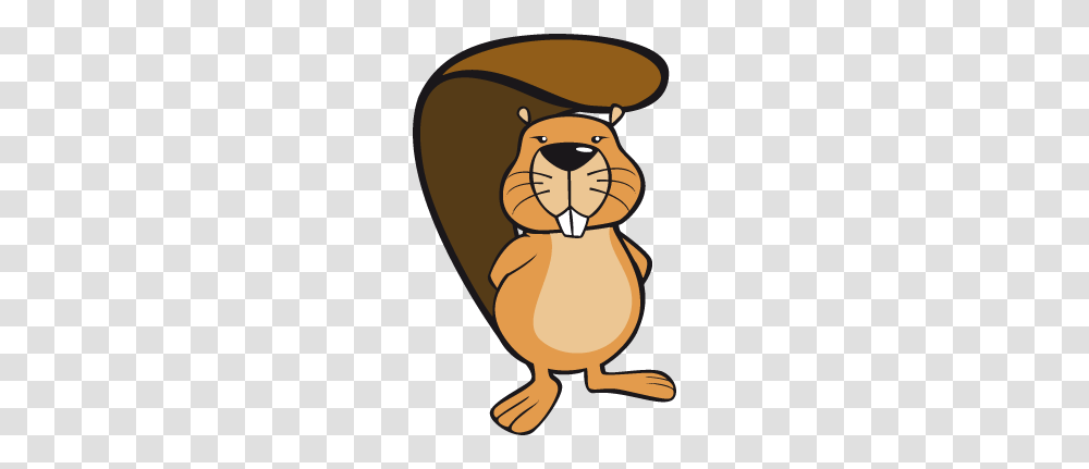 Beaver, Animals, Mammal, Wildlife, Rodent Transparent Png