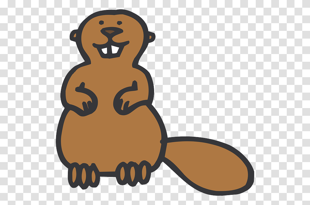 Beaver, Animals, Rodent, Mammal, Hand Transparent Png