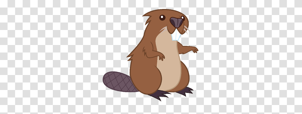 Beaver, Animals, Rodent, Mammal, Wildlife Transparent Png