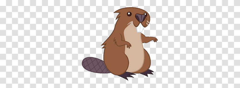 Beaver, Animals, Rodent, Mammal, Wildlife Transparent Png