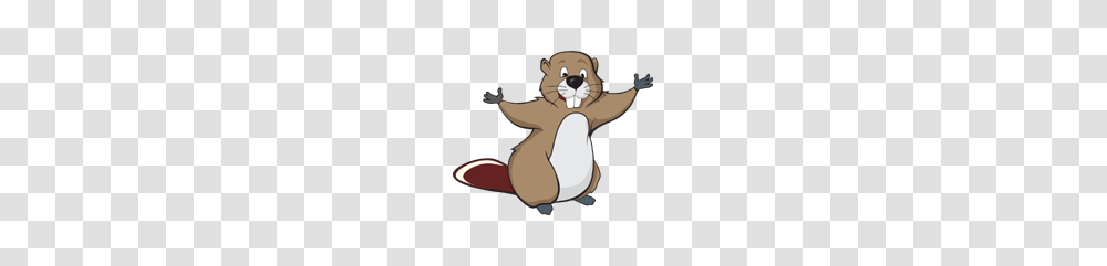 Beaver, Animals, Wildlife, Mammal, Rodent Transparent Png