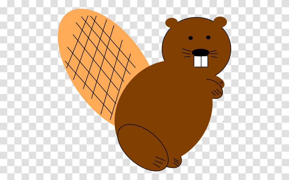 Beaver, Animals, Wildlife, Rodent, Mammal Transparent Png