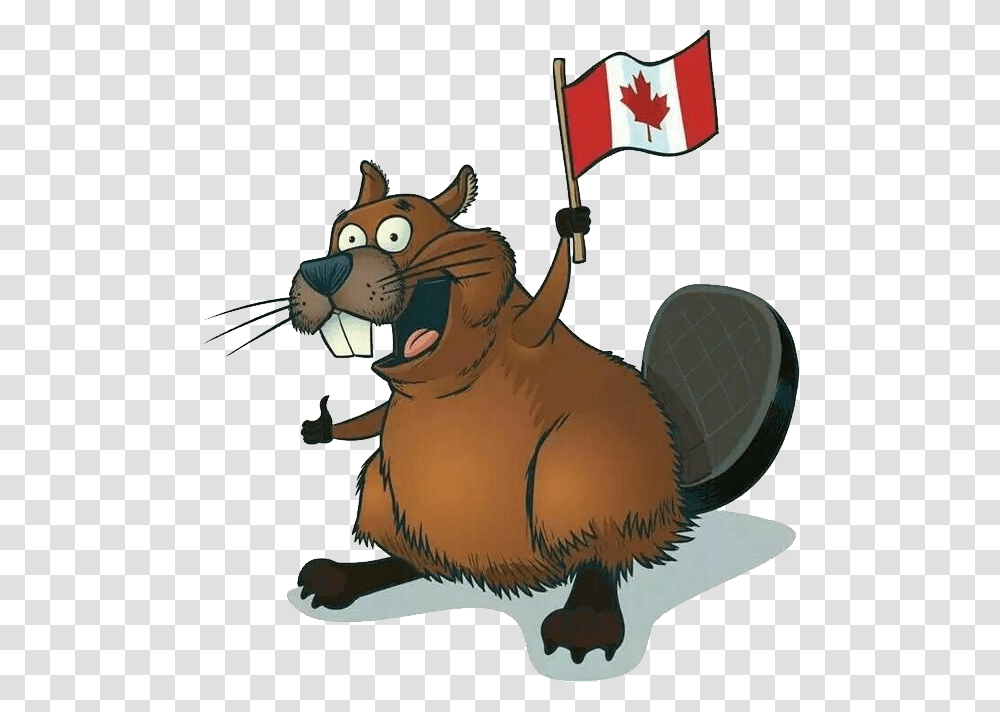 Beaver Beaver Canada, Mammal, Animal, Wildlife, Rodent Transparent Png