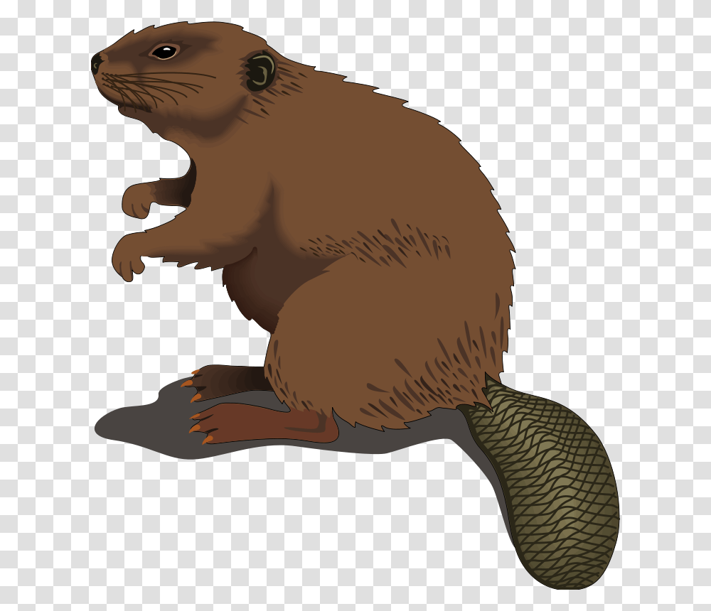 Beaver Clipart Clip Art Images, Rodent, Mammal, Animal, Wildlife Transparent Png