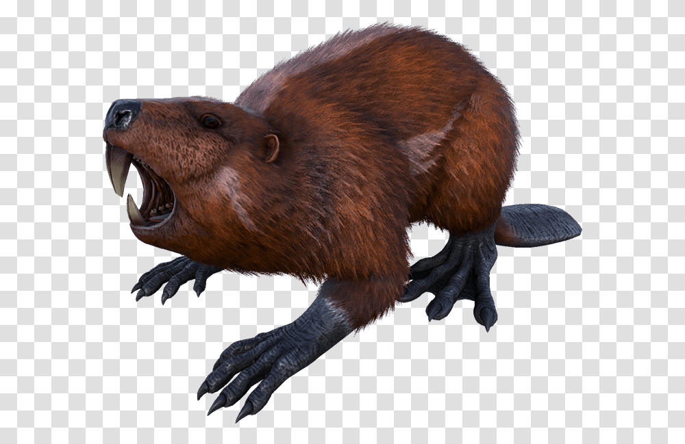 Beaver Download Image Ark Beaver, Wildlife, Rodent, Animal, Mammal Transparent Png