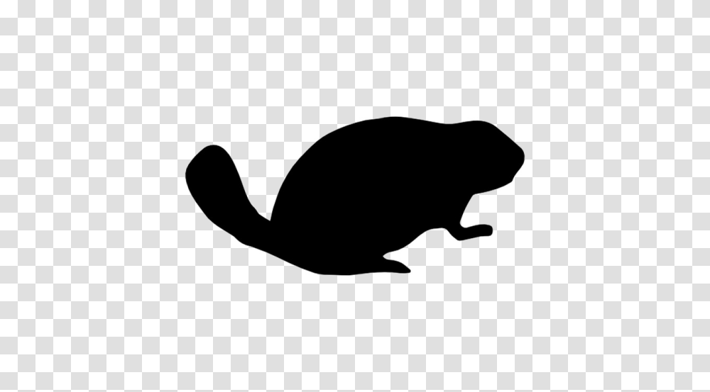 Beaver Images Pictures Photos Arts, Silhouette, Animal, Rodent, Mammal Transparent Png