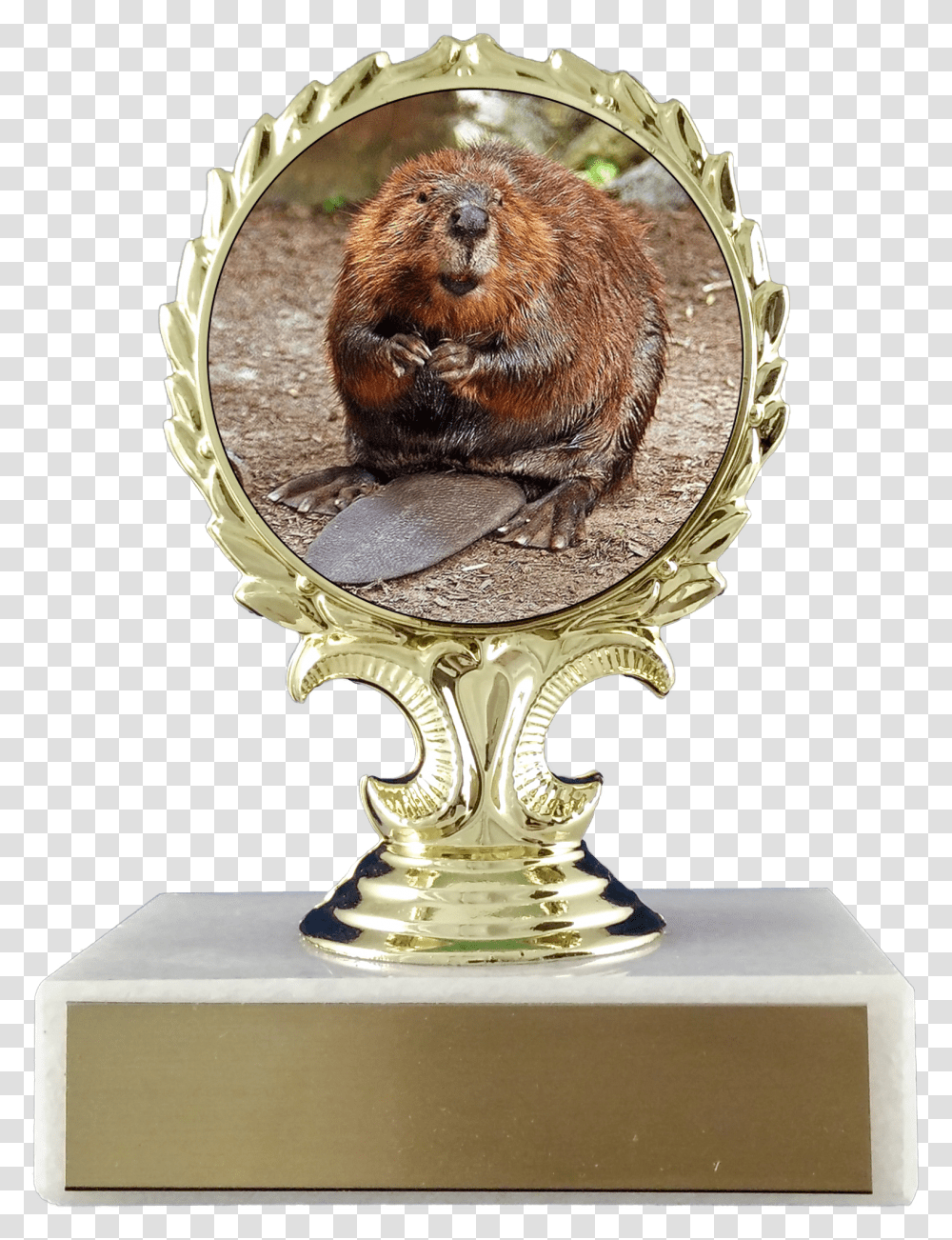 Beaver Logo Trophy On Flat White Marble Trophy Schoppy Animaux Typique Du Canada, Rodent, Mammal, Animal, Wildlife Transparent Png