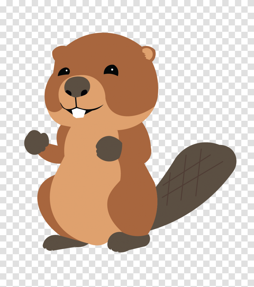 Beaver Photo, Rodent, Mammal, Animal, Wildlife Transparent Png