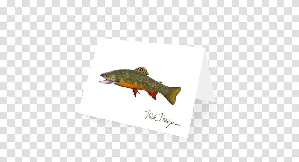 Beaver Pond Brook Trout Nick Mayer Art, Fish, Animal, Coho, Sea Life Transparent Png