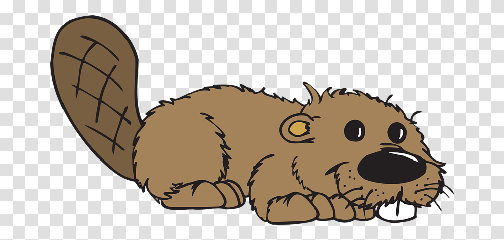 Beaver Silhouette Cliparts, Mammal, Animal, Rodent, Wildlife Transparent Png