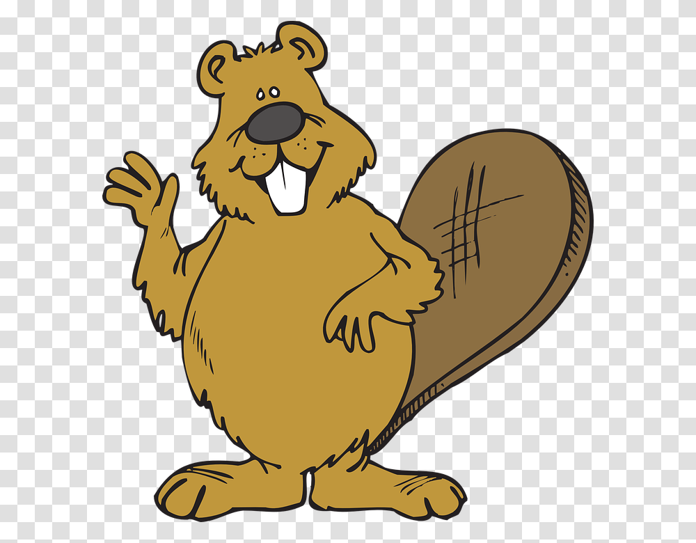 Beaver Whiskey Wjjk Fm, Animal, Wildlife, Rodent, Mammal Transparent Png