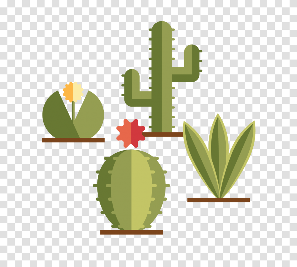 Become, Plant, Cactus, Green, Cross Transparent Png