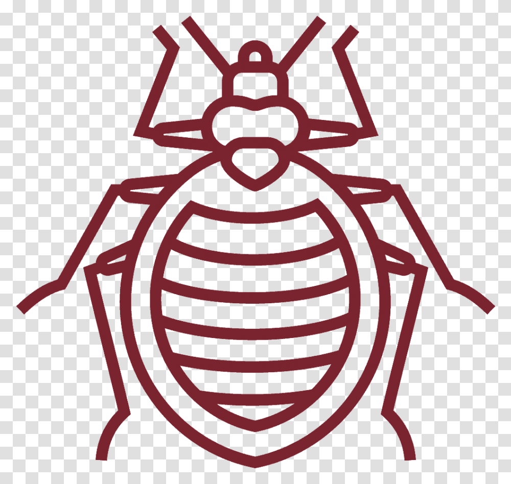 Bed Bug White Outline, Animal, Invertebrate, Insect Transparent Png