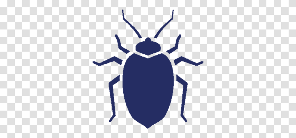 Bed Bugs Uspest Bed Bugs Black Symbol, Invertebrate, Animal, Insect, Dung Beetle Transparent Png