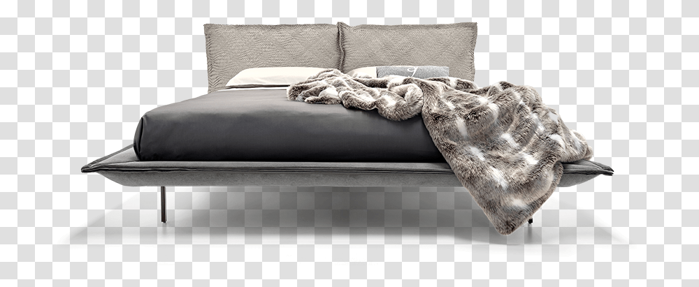 Bed Frame, Furniture, Bird, Animal, Couch Transparent Png