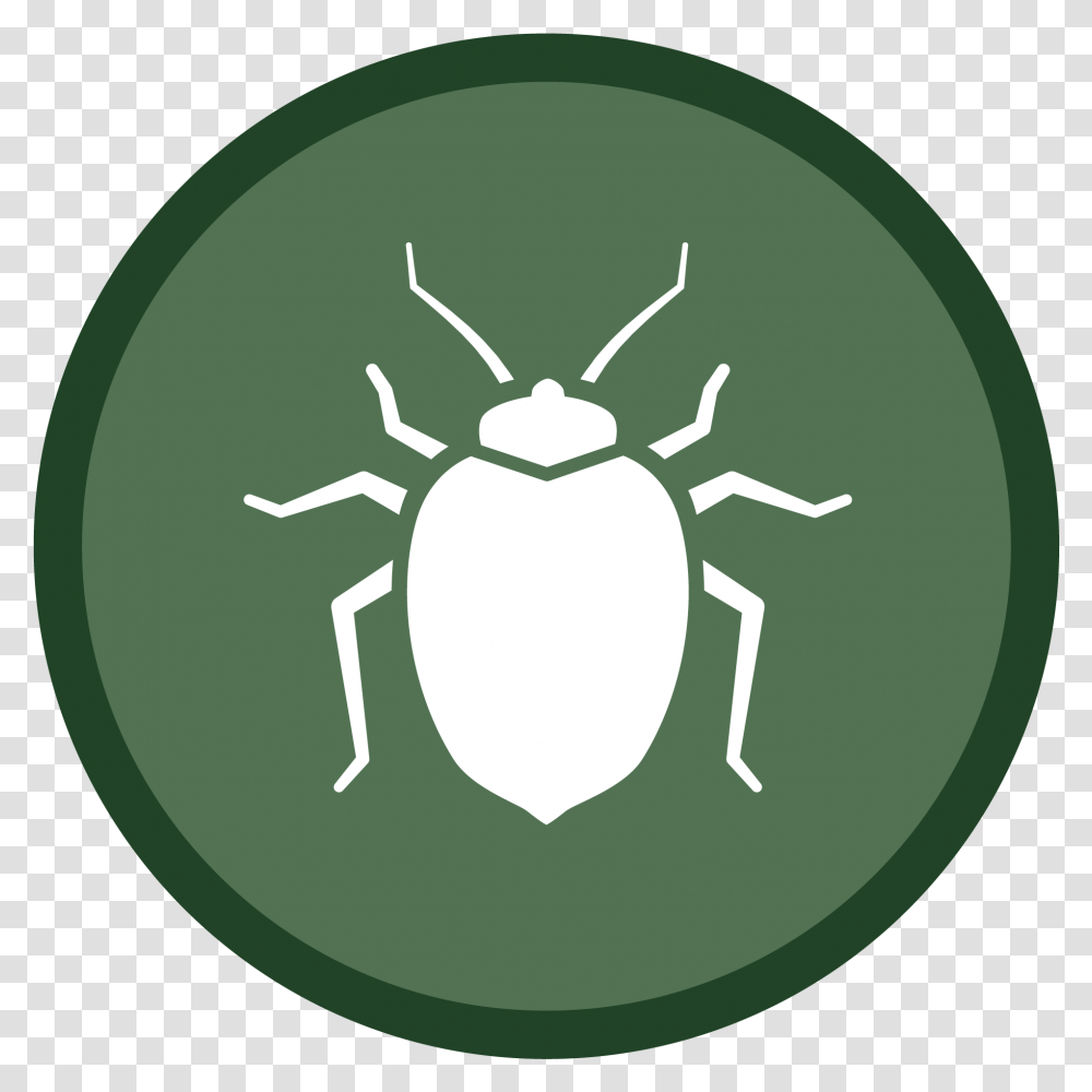 Bedbug Icon 02 Health Dangers, Tick, Green, Animal, Insect Transparent Png
