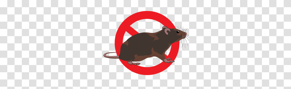 Bedbug Treatment Rodent Exterminator Chester Va, Animal, Mammal, Pet, Hamster Transparent Png