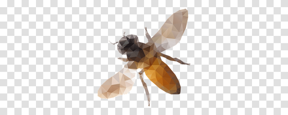 Bee Animals, Insect, Invertebrate, Chess Transparent Png